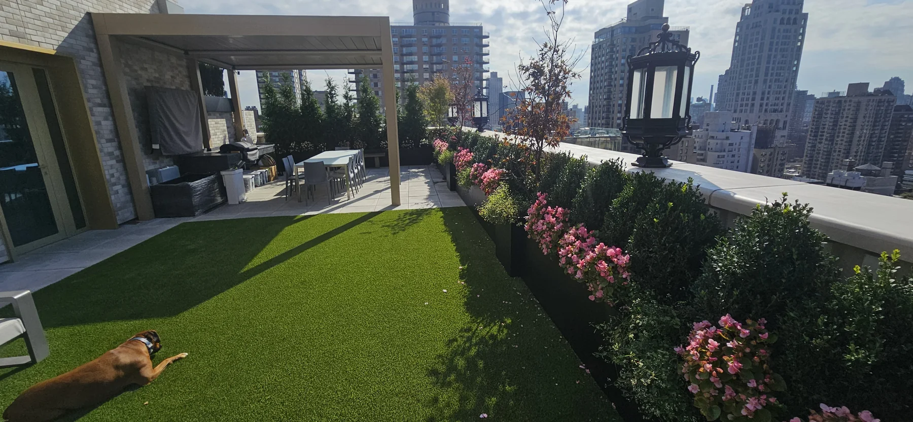Finished rooftop terrace after Foliage Co planting