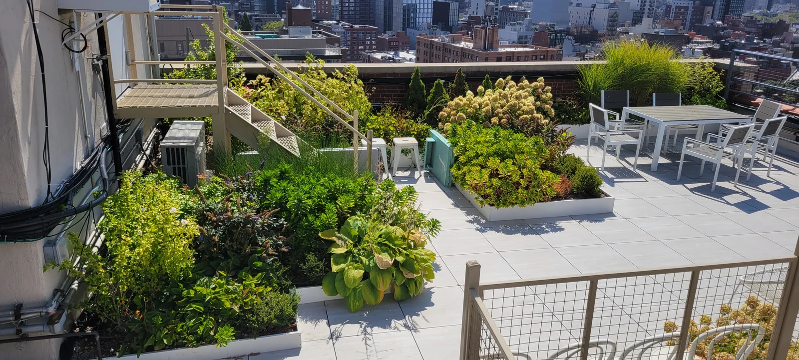 Green roof with porcelain pavers and planter layout