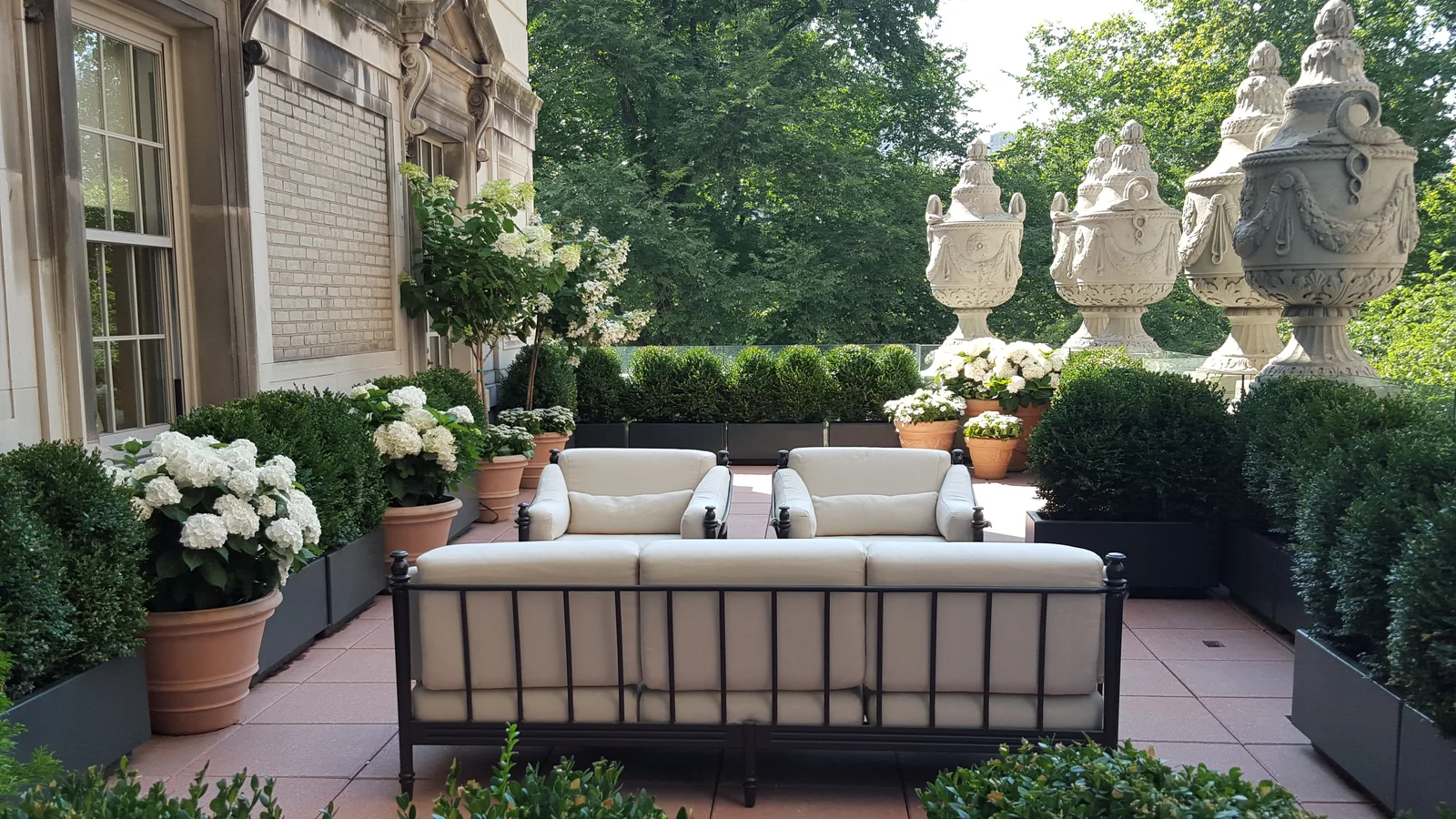 Boxwood and hydrangea terrace