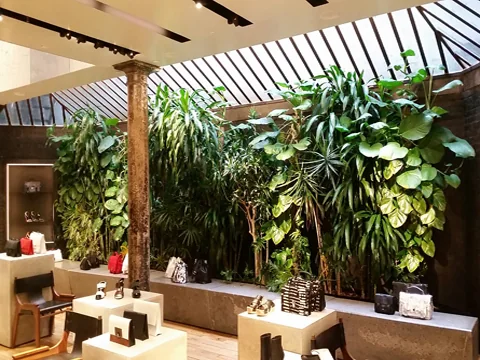 Soho retail flagship plant installation by The Foliage Co